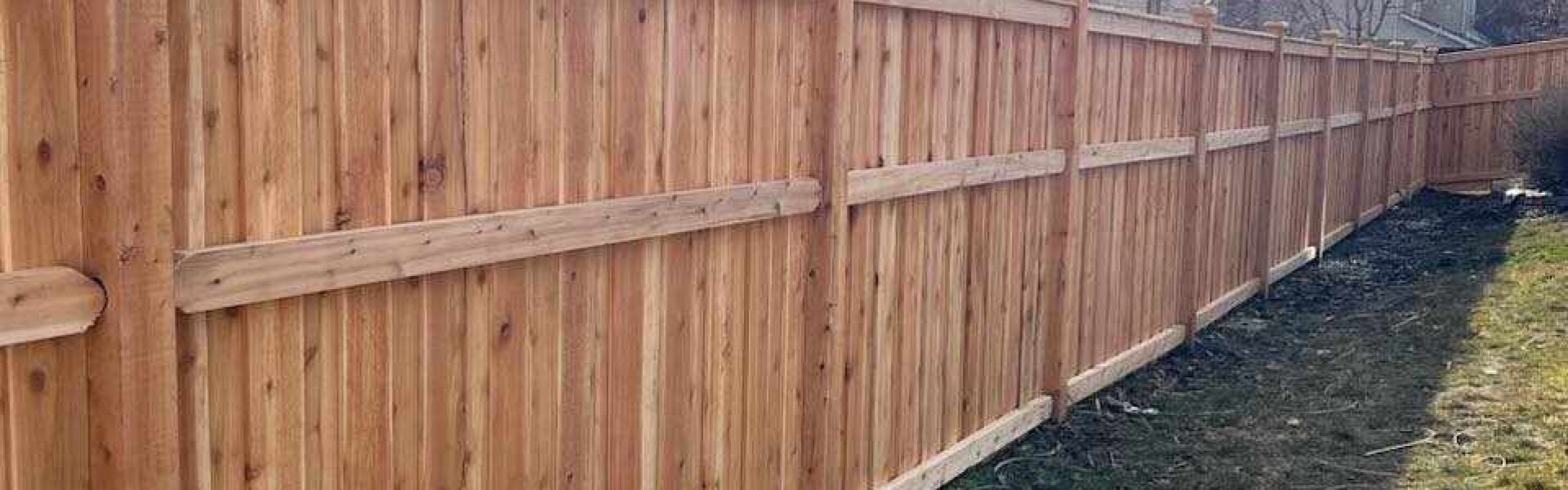 cedar fence in backyard