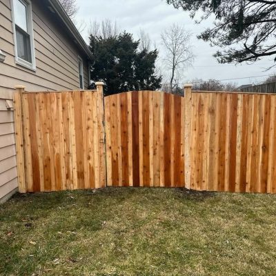 Cedar Fence Maintenance