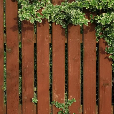 brown-colored-fence-entwined-with-plant-with-strip-2024-12-02-20-19-17-utc